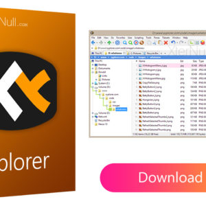 XYplorer Free File Manager for Windows